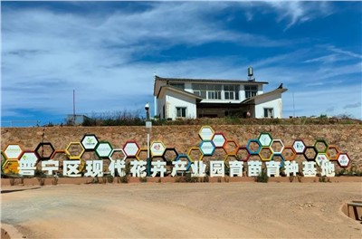 【案例故事】享譽世界的春城花都，世邦助力云南晉寧走出“芬芳”致富路